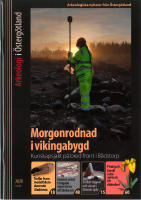 Arkeologi i &Ouml;sterg&ouml;tland 2020