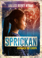 Sprickan : dr&ouml;mmen om Europa