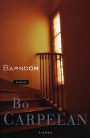 Barndom : roman