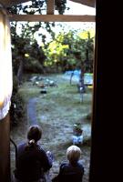 Oxveckor : eller n&auml;r man s&ouml;ker oxar s&aring; - en sj&auml;lvbiografisk tankebok om mitt liv som koaner