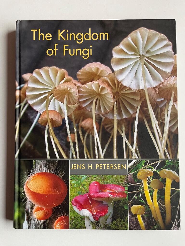 The kingdom of fungi