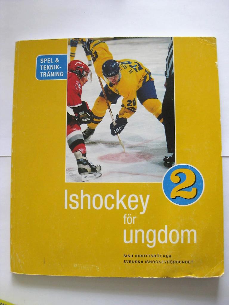 Ishockey f&ouml;r ungdom