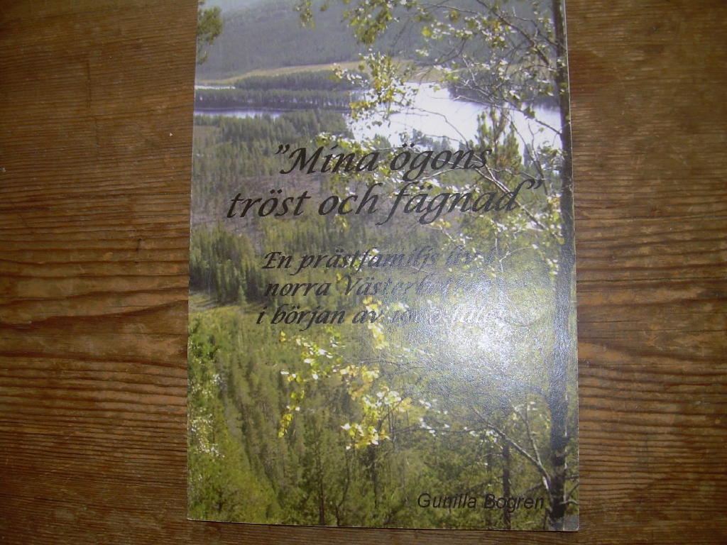 "Mina &ouml;gons tr&ouml;st och f&auml;gnad" : en pr&auml;stfamiljs liv i norra V&auml;sterbotten i b&ouml;rjan av 1900-talet