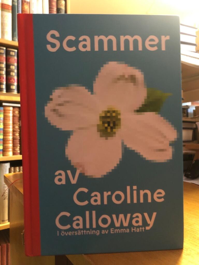 Scammer
