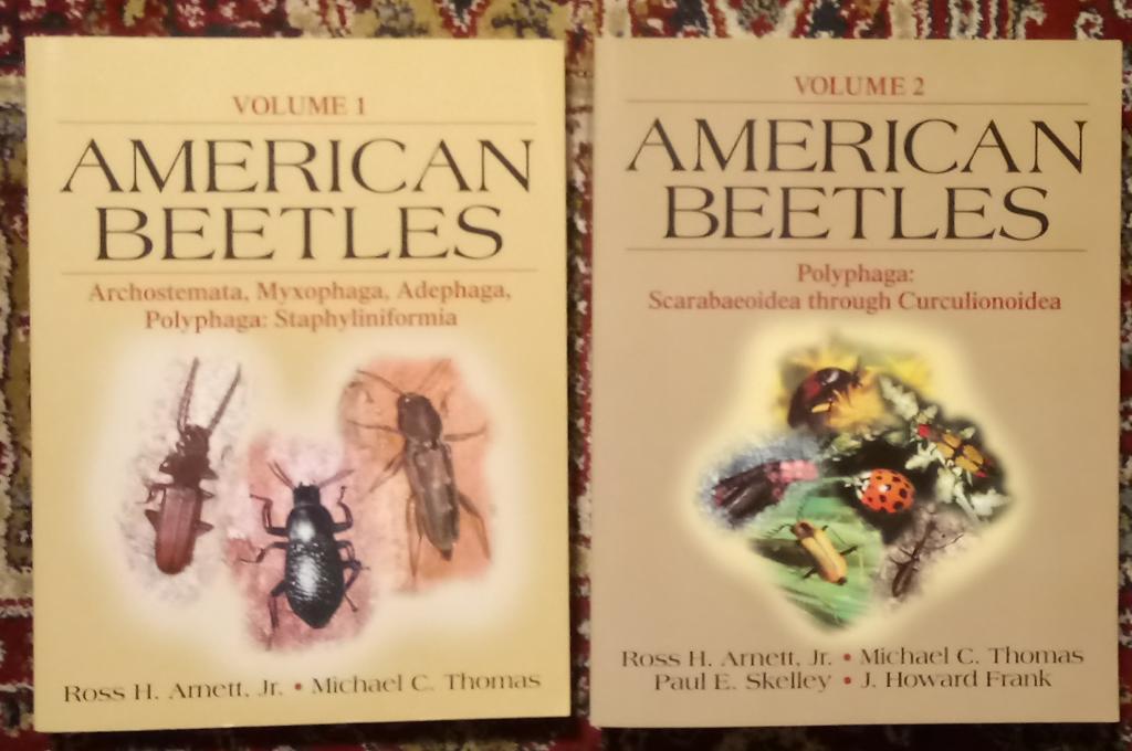 American beetles