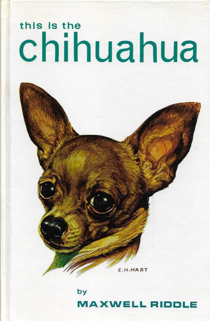 Maxwell Riddle Pointer This is the Chihuahua | Maxwell Riddle | 180 SEK