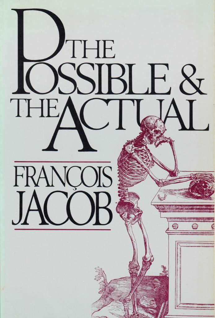 The possible and the actual