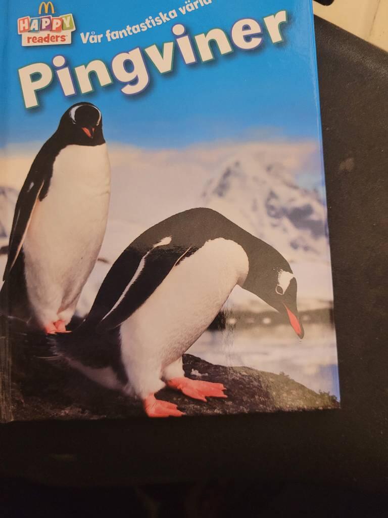 Pingviner