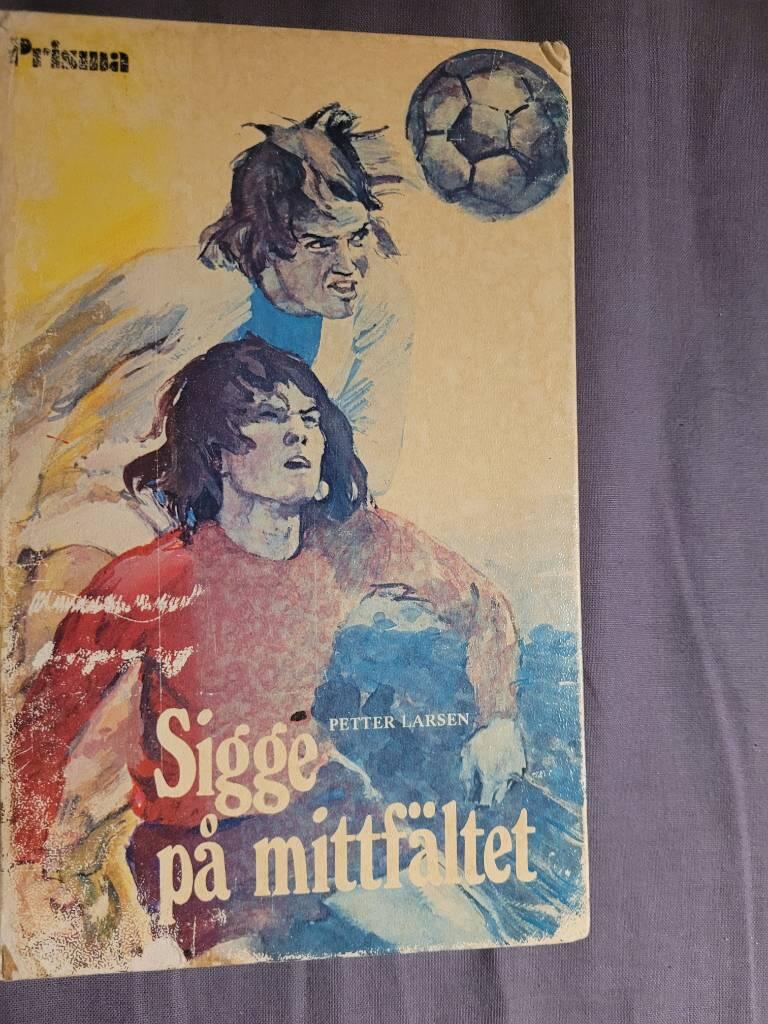 Sigge p&aring; mittf&auml;ltet