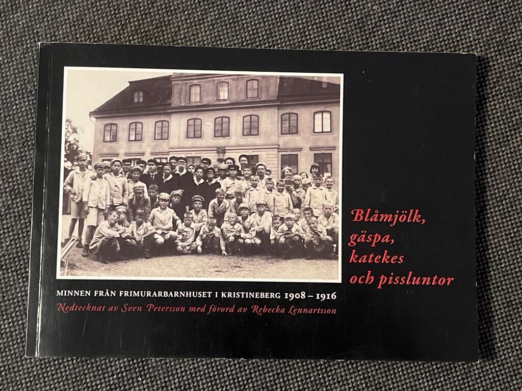 Bl&aring;mj&ouml;lk, g&auml;spa, katekes och pissluntor : minnen fr&aring;n Frimurarbarnhuset i Kristineberg 1908-1916