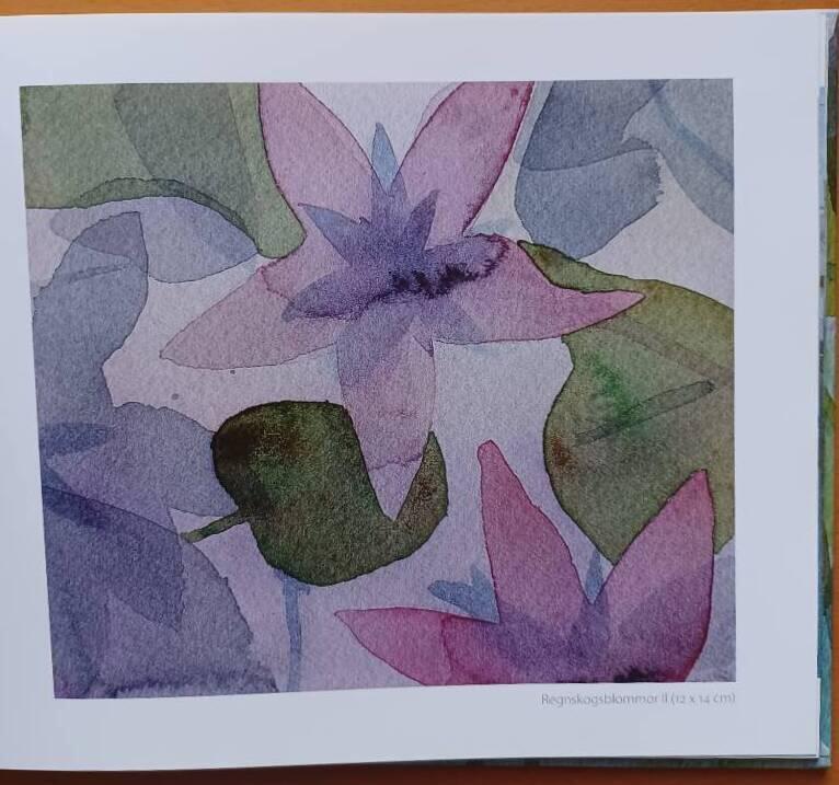 Voyage pittoresque - akvareller