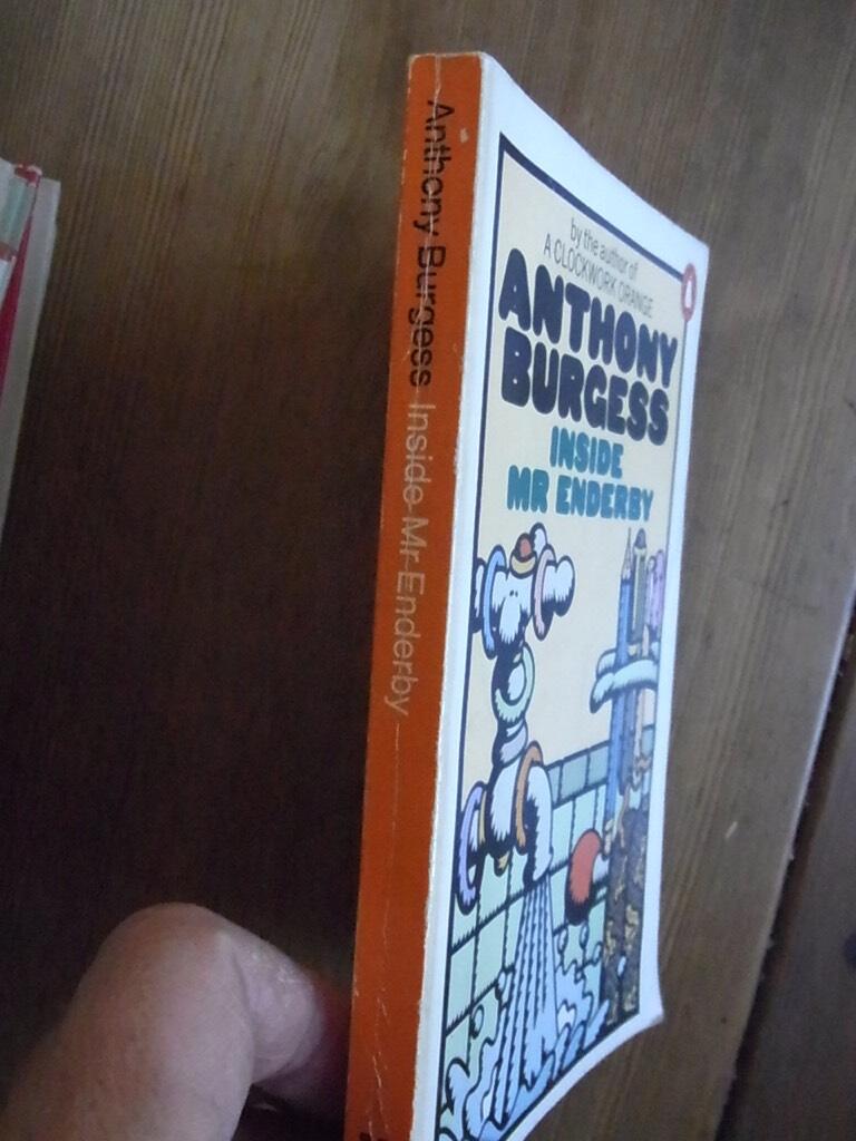Inside Mr Enderby