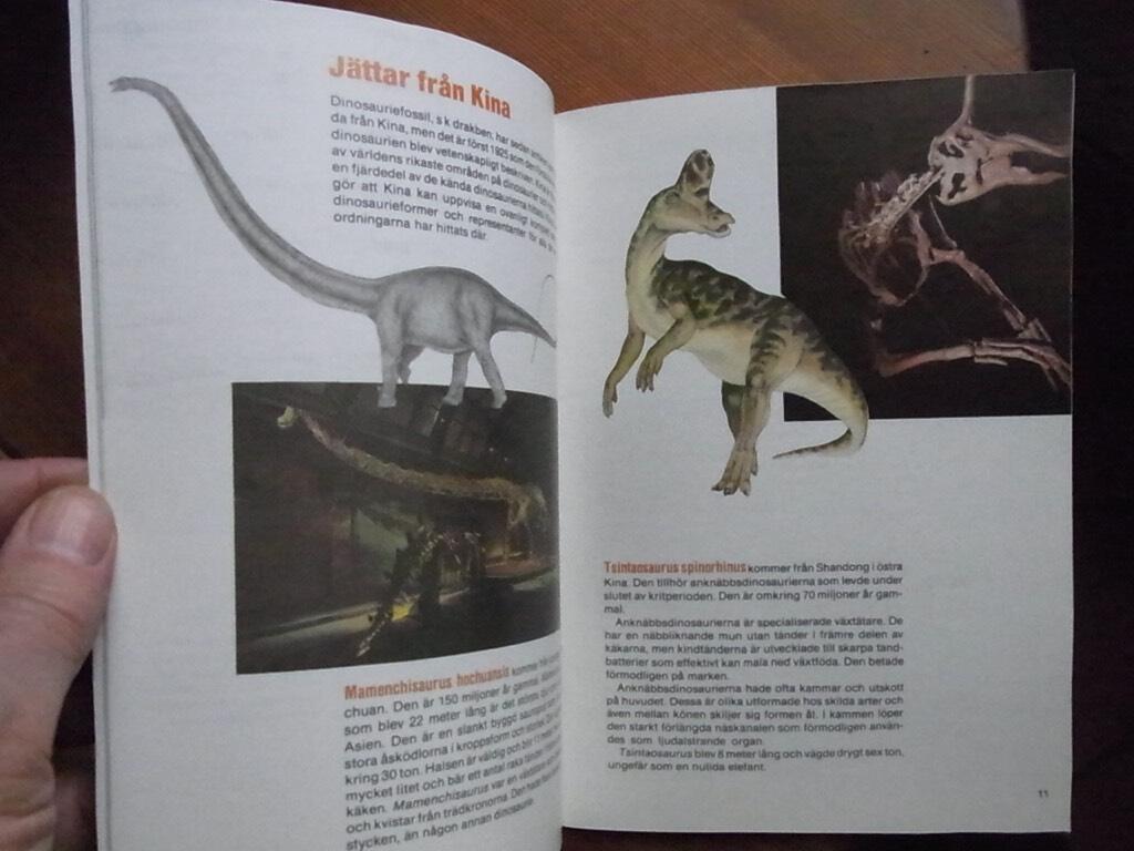 Dinosaurier fr&aring;n Kina : dinosauriernas v&auml;rld : Naturhistoriska riksmuseet 26 maj 1989-4 mars 1990