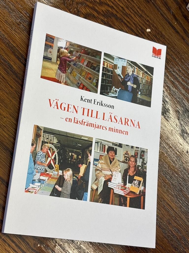 V&auml;gen till l&auml;sarna : en l&auml;sfr&auml;mjares minnen