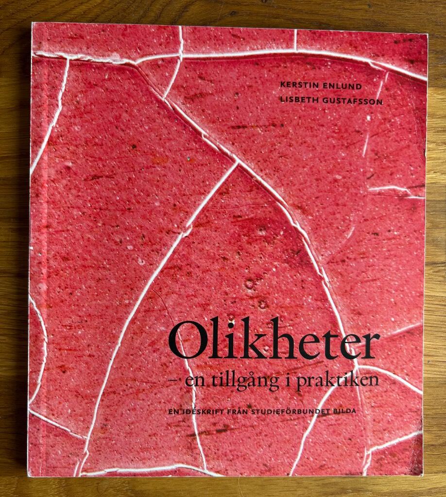 Olikheter : en tillg&aring;ng i praktiken : [en id&eacute;skrift fr&aring;n studief&ouml;rbundet Bilda]
