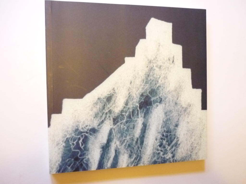 Konstf&ouml;reningen Aura 75 &aring;r : Lunds Konsthall/Krognoshuset 15 november 2003 - 6 januari 2004