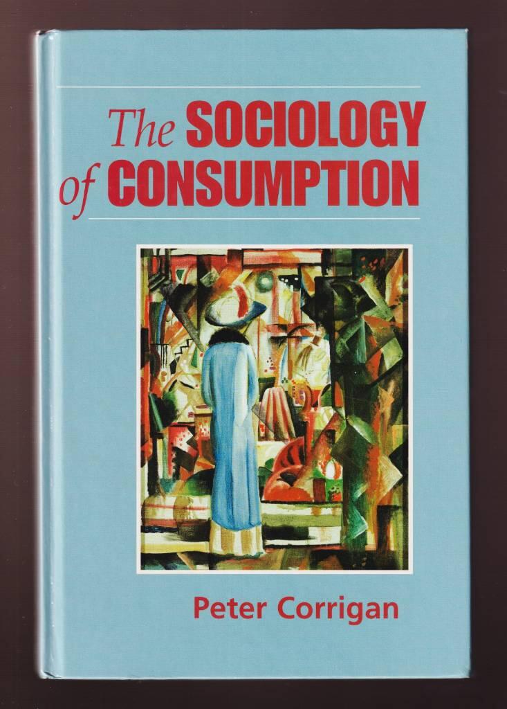 The sociology of consumption [Elektronisk resurs] : an introduction