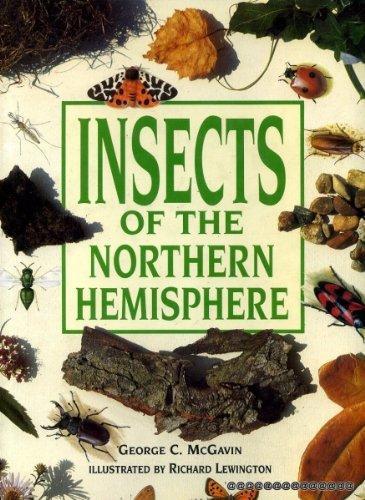 Insects of the northern hemisphere