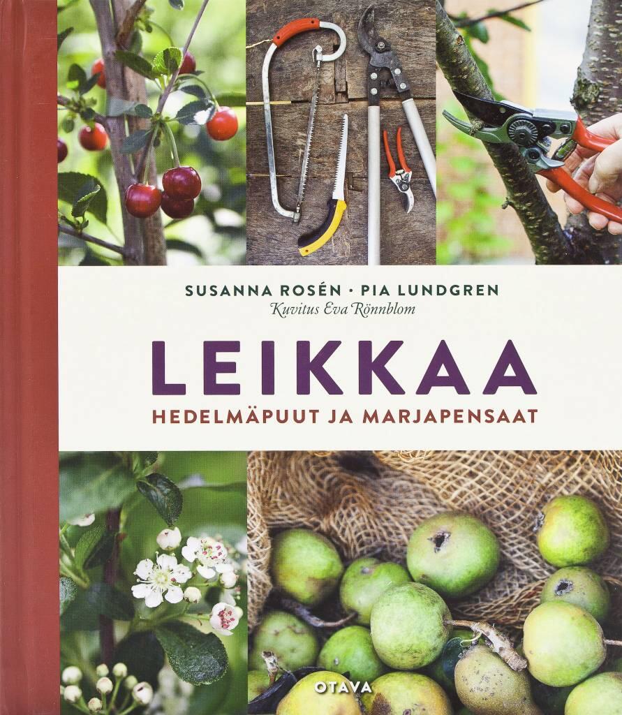 Leikkaa hedelmäpuut ja marjapensaat