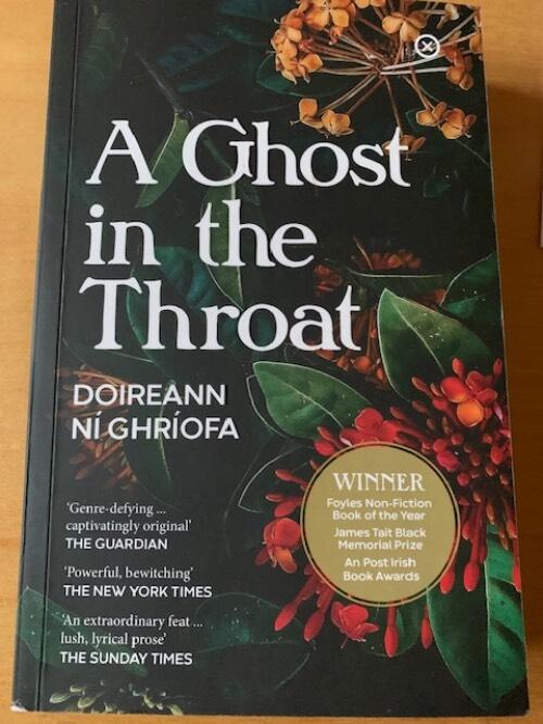 A ghost in the throat
