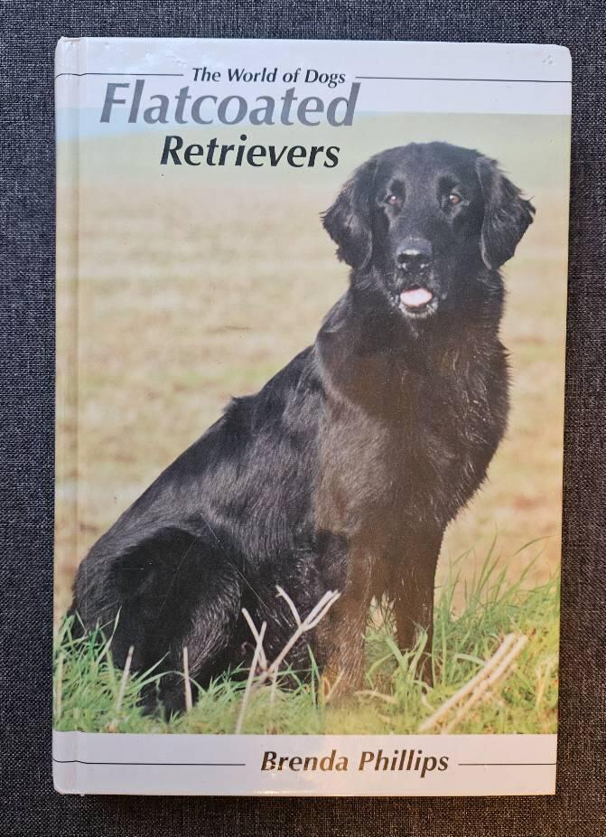 Flatcoated retrievers