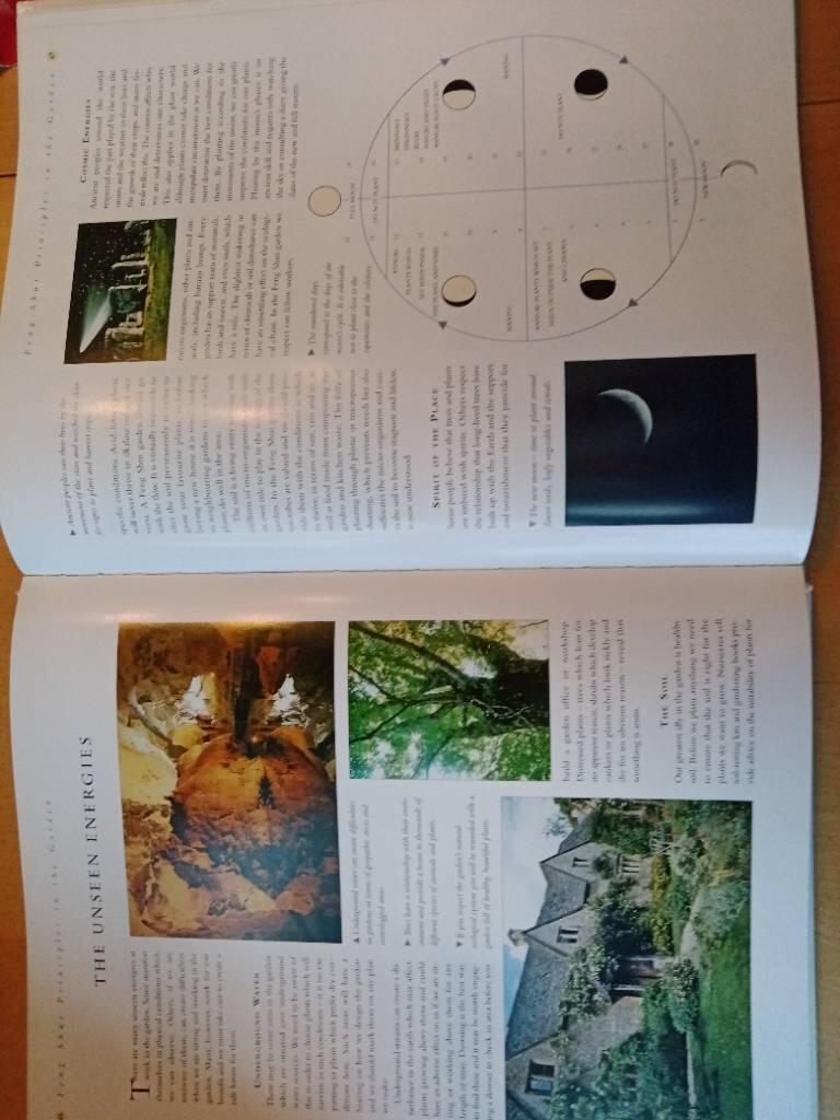 Complete guide to the Feng Shui garden