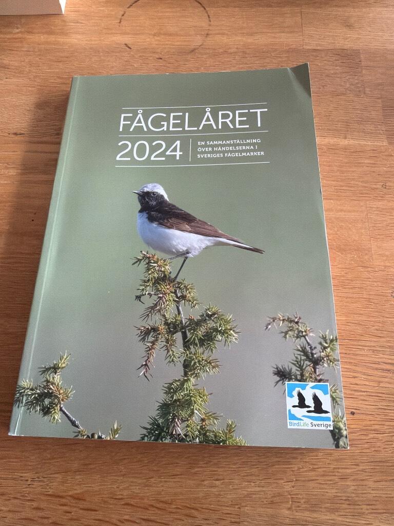 F&aring;gel&aring;ret 2020 - en sammanst&auml;llning &ouml;ver h&auml;ndelserna i Sveriges f&aring;gelmarker 2020 [med rapporter fr&aring;n bl.a. Svensk F&aring;geltaxering, Ringm&auml;rkningscentralen, Nationella rapportkommitt&eacute;n, Raritetskommitt&eacute;n och f&aring;gelstationerna.]