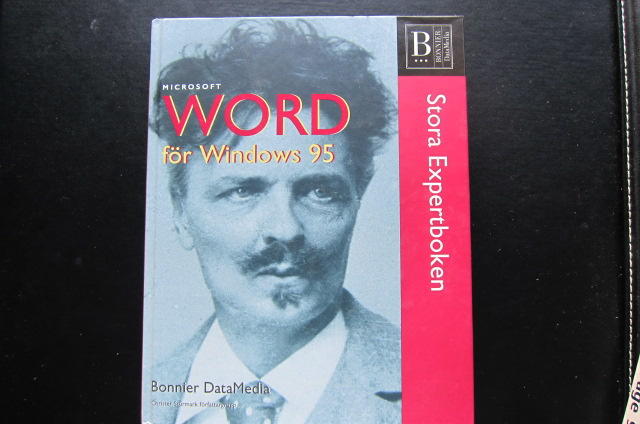 Word f&ouml;r Windows 95