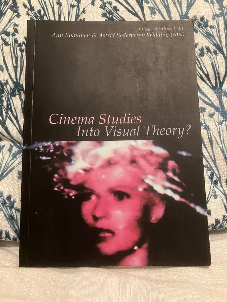 Cinema studies into visual theory?