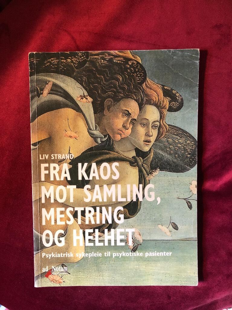 Fra kaos mot samling, mestring og helhet - psykiatrisk sykepleie til psykotiske pasienter