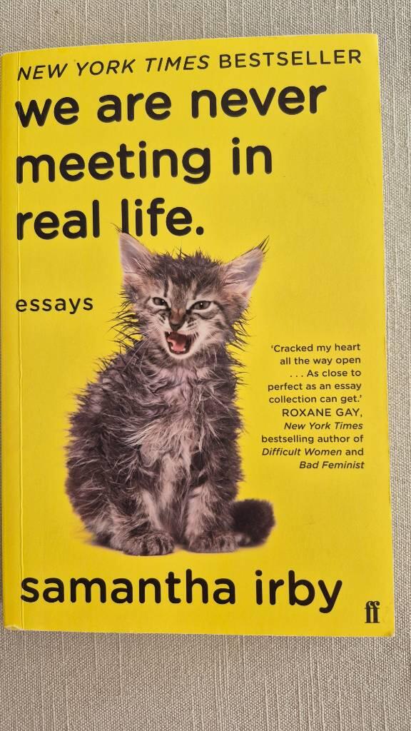 We are never meeting in real life - Essays