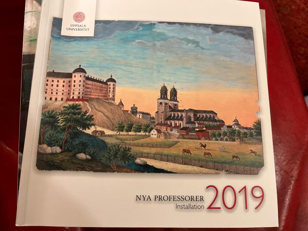 Nya professorer 2019 - inbjudan till den offentliga h&ouml;gtidlighet vid vilken professorer kommer att installeras