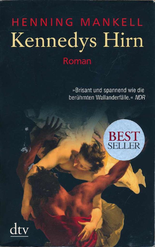Kennedys Hirn : Roman