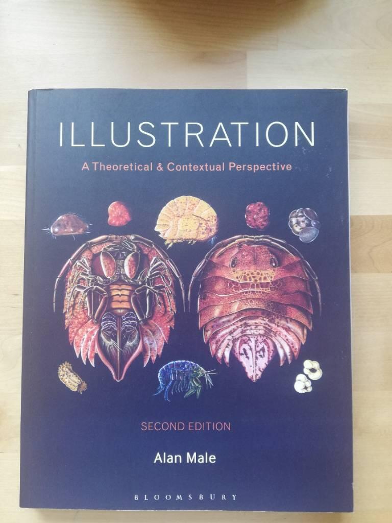 Illustration : a theoretical and contextual perspective