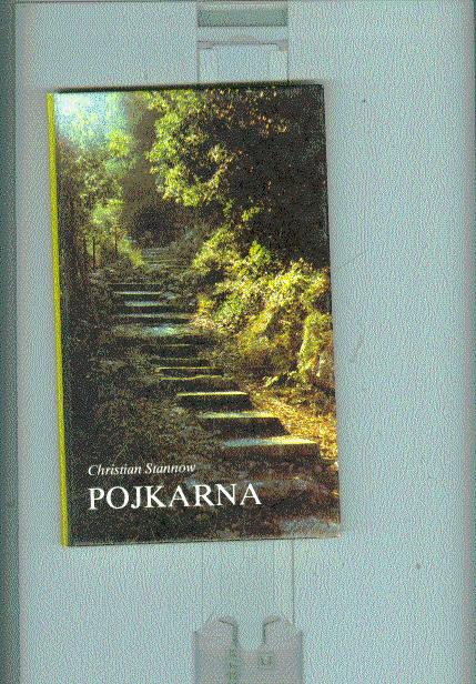 Pojkarna : scener ur det samtida livet