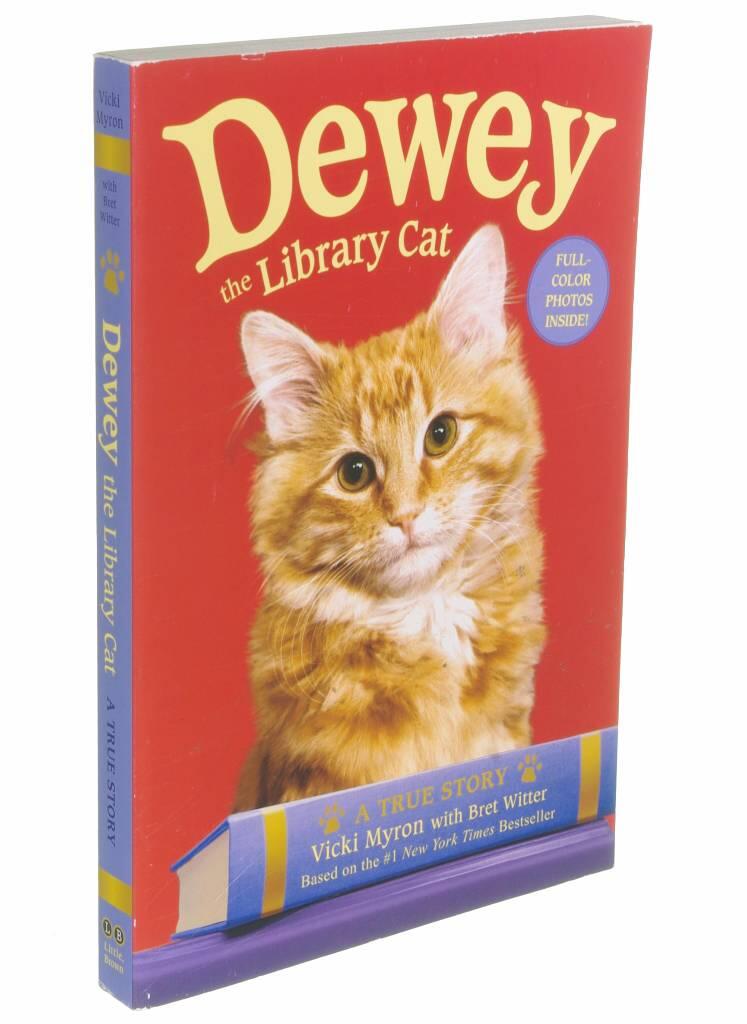 Dewey the library cat