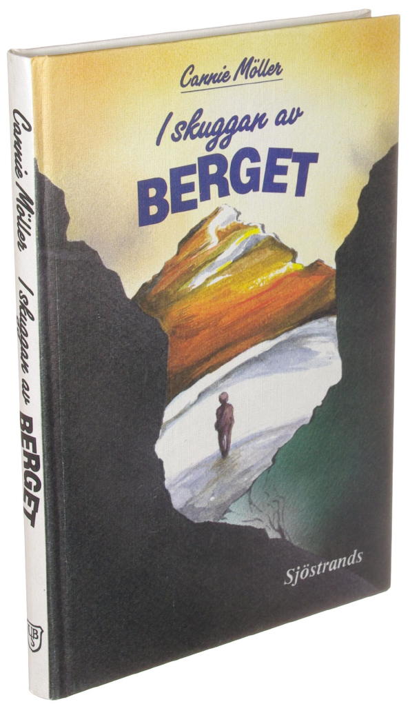I skuggan av berget : en sorts thriller om att bli vuxen-