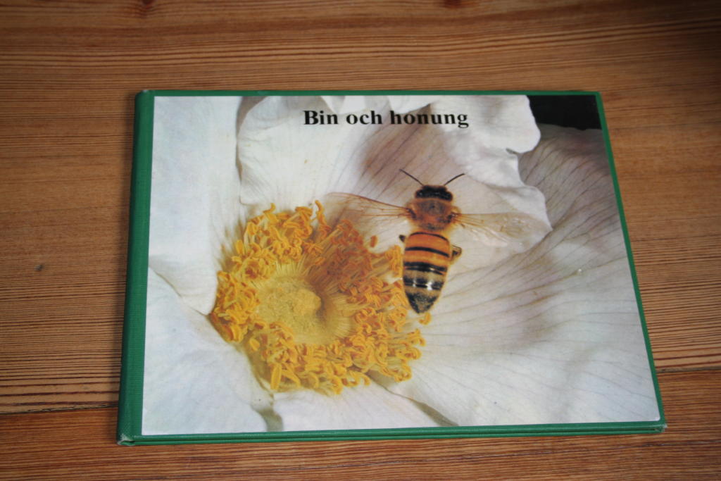 Bin och honung