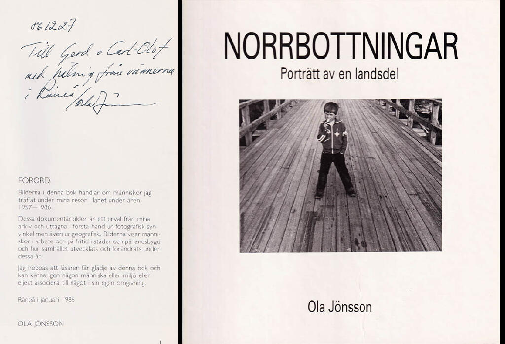 Norrbottningar : portr&auml;tt av en landsdel