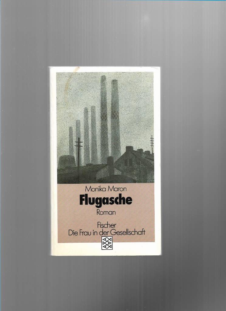 Flugasche : Roman