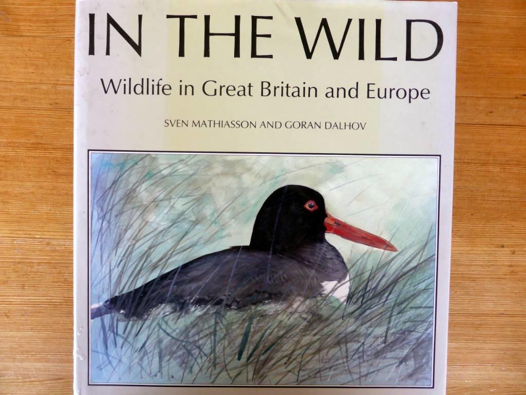 In the wild - wildlife in Great Britain and Europe