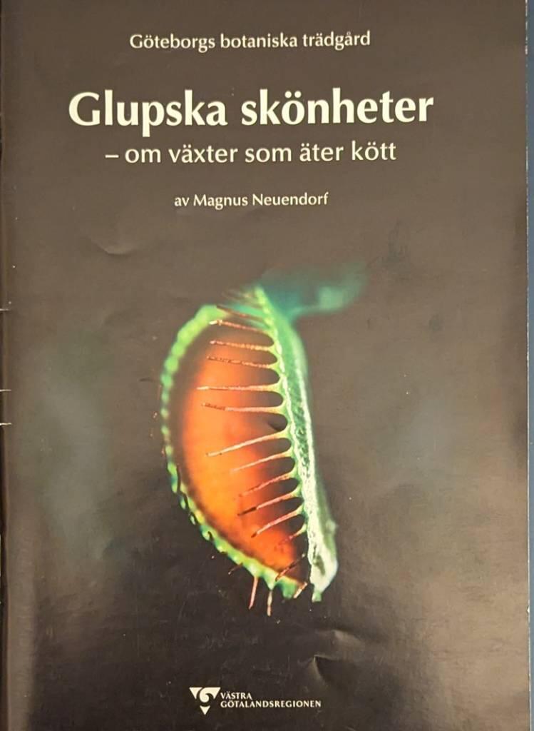 Glupska sk&ouml;nheter