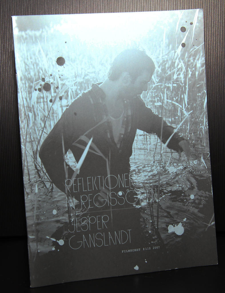 Reflektioner av regiss&ouml;ren