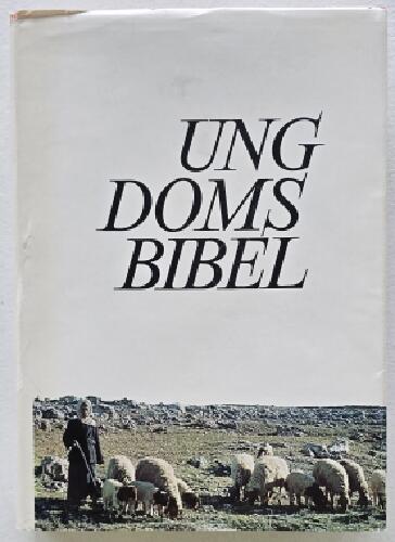 Ungdomsbibel