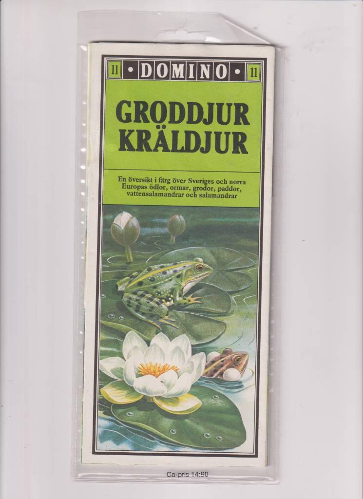 Domino : en &ouml;versikt i f&auml;rg