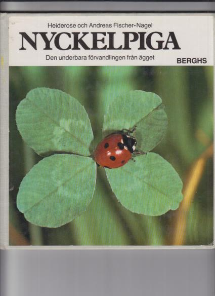 Nyckelpiga : den underbara f&ouml;rvandlingen fr&aring;n &auml;gget