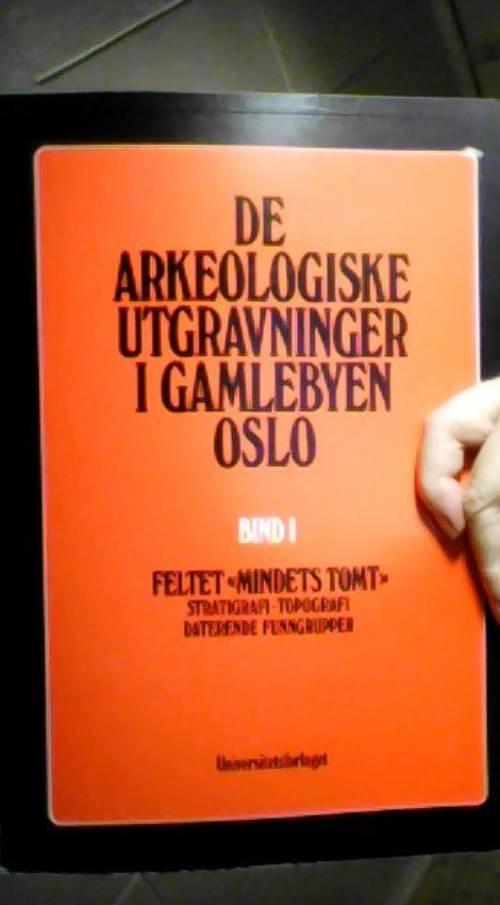 De arkeologiske utgravninger i Gamlebyen, Oslo
