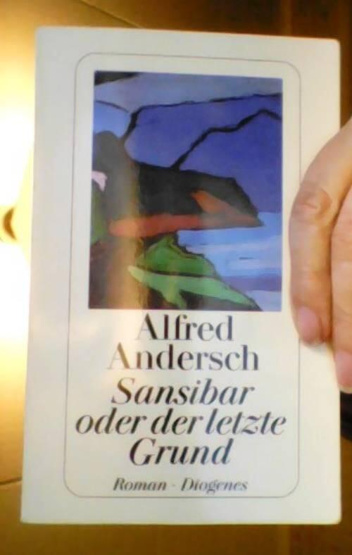 Sansibar oder Der letzte Grund