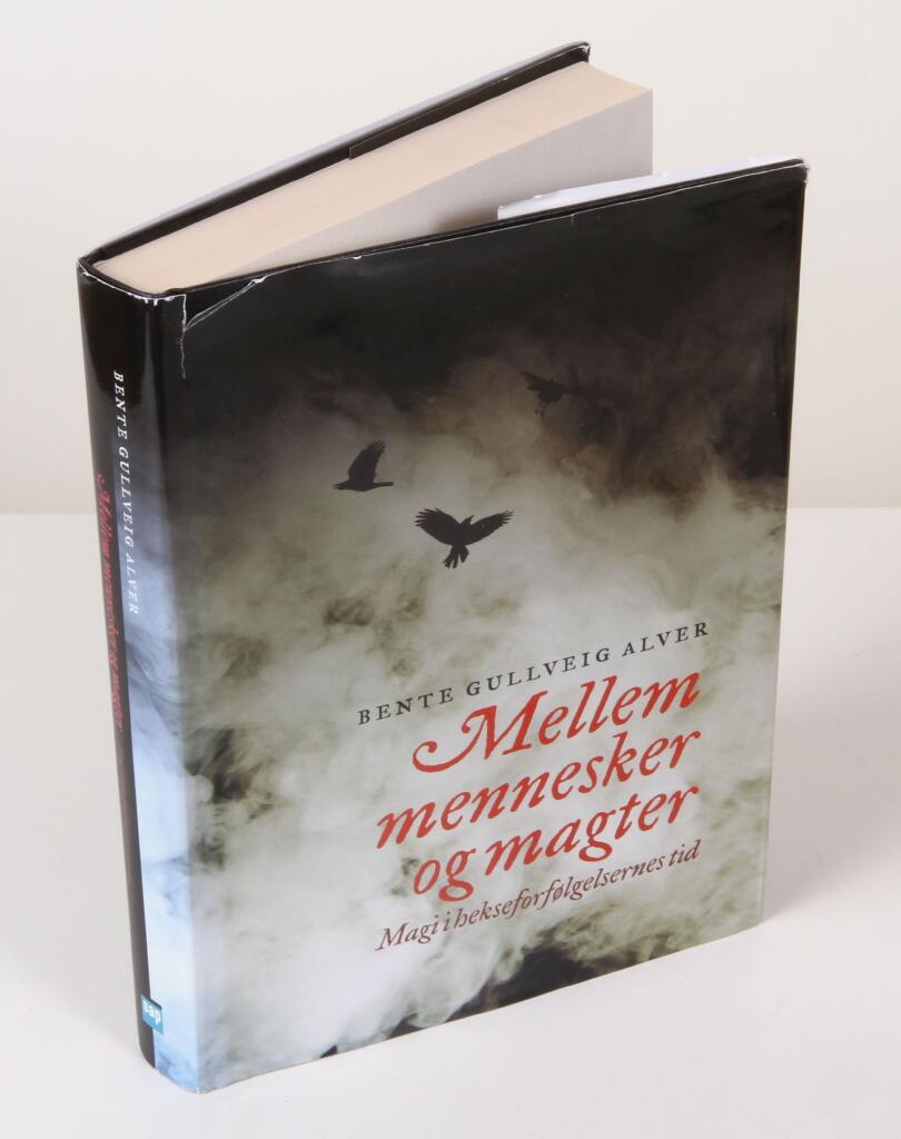 Mellem mennesker og magter - magi i hekseforf&oslash;lgelsernes tid