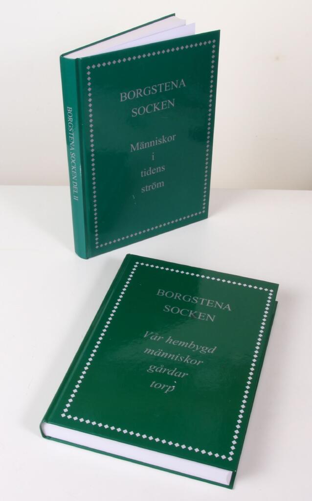 Borgstena : boken om m&auml;nniskorna p&aring; torp och g&aring;rdar